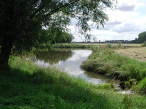 Fluss im Grünen